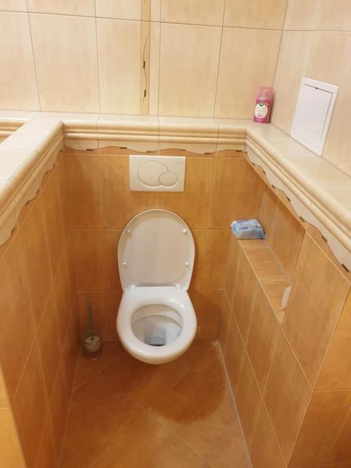 Mezonetovy Apartman V Centre Novej Dubnice Ilava Экстерьер фото