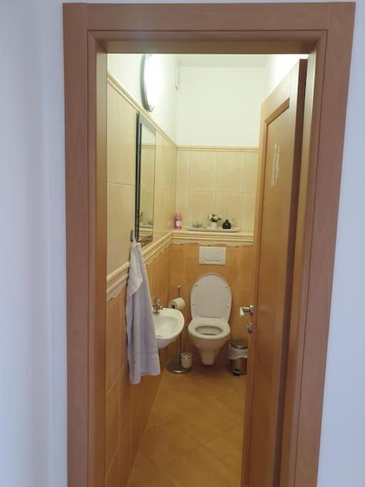Mezonetovy Apartman V Centre Novej Dubnice Ilava Экстерьер фото